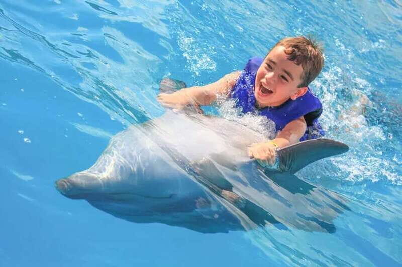 Cabo San Lucas: Dolphin Swim Class with Marine Specialist - Who Will Love This Tour?