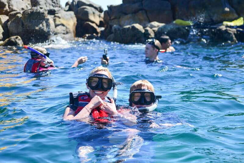 Cabo San Lucas: Guided Snorkeling Tour with Transportation - Key Points