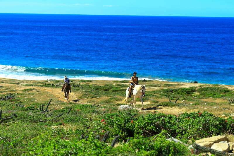 Cabo San Lucas: Horseback Riding in Migriño with Transfers - Authenticity and Quality: What Travelers Say