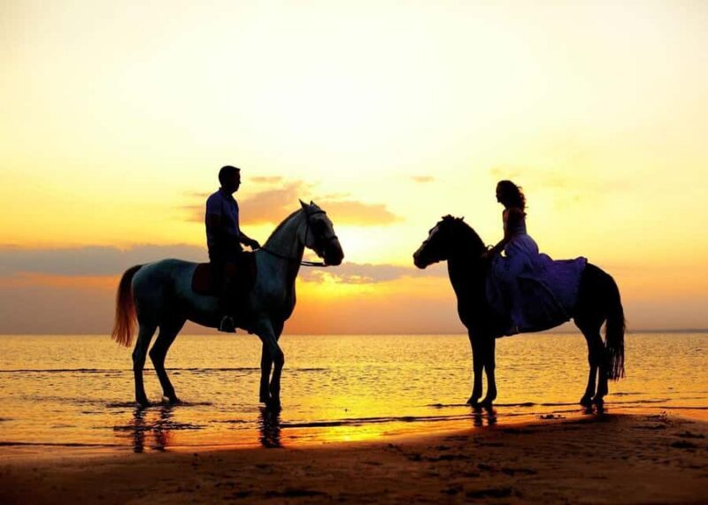 Cabo San Lucas: Intimate Sunset Horseback Ride and Dinner - Exploring the Experience: A Detailed Breakdown