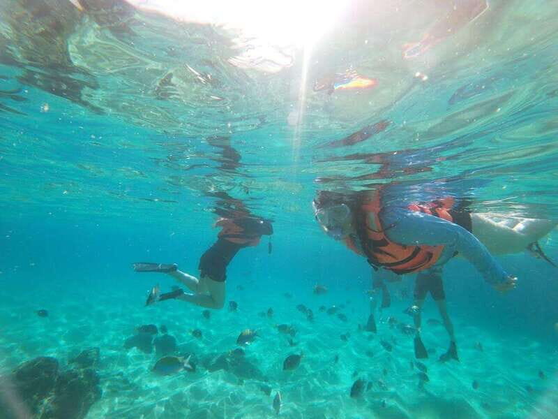 Cabo San Lucas: Kayaking Adventure Tour - Cabo San Lucas: Kayaking Adventure Tour — An Authentic Day on the Water
