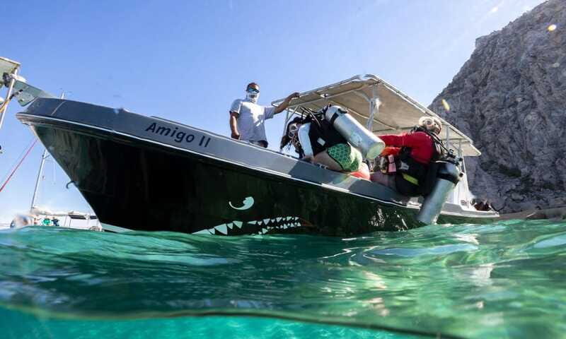 Cabo San Lucas: Local Dives (CSL Marine Park) and Corridor. - FAQ