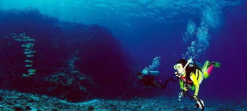 Cabo San Lucas: Marine Reserve Dive - Frequently Asked Questions