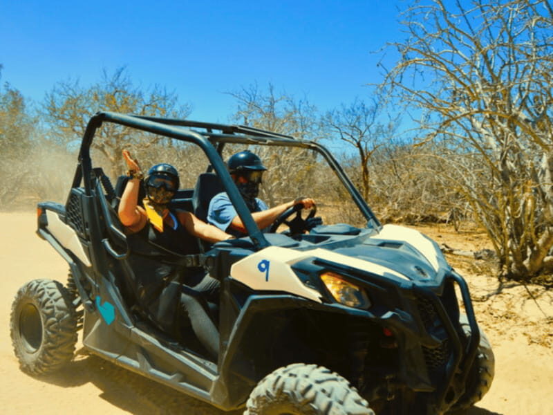 Cabo San Lucas: Migriño Beach & Desert UTV Adventure - Discover Baja’s Beauty on a UTV Tour
