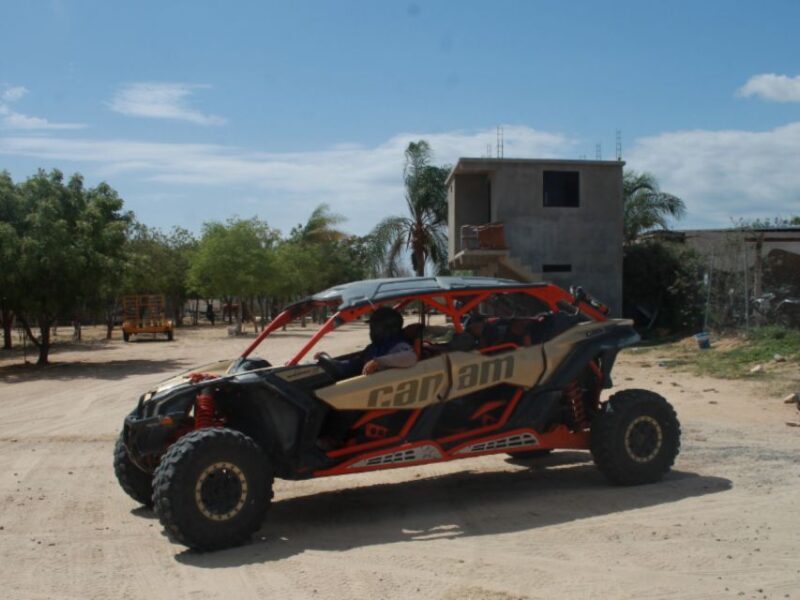 Cabo San Lucas: Migriño Beach & Desert UTV Adventure - Who Should Consider This Tour?