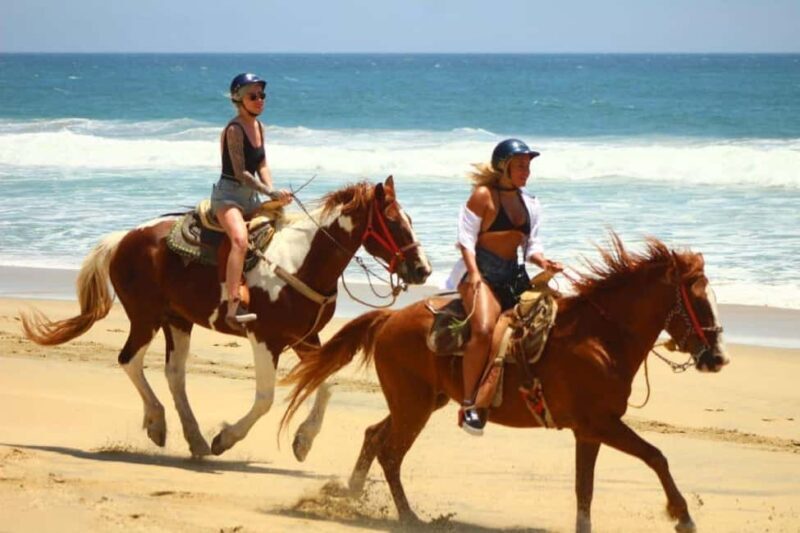 Cabo San Lucas: Migriño Horseback Riding Adventure - Who Will Love This Tour?