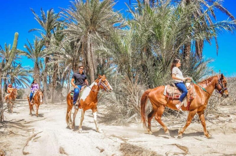 Cabo San Lucas: Migriño Horseback Riding Adventure - FAQs
