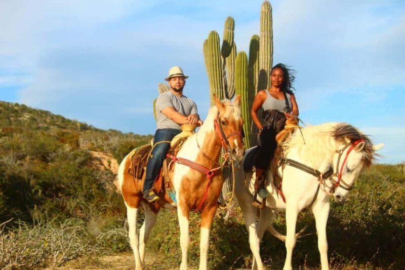 Cabo San Lucas: Migriño Horseback Riding and Tequila Tour - Frequently Asked Questions