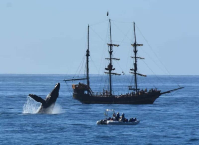 Cabo San Lucas: Pirate Snorkel Cruise with Buffet & Drinks - First Impressions: A Fun-Filled Cruise with a Pirate Twist