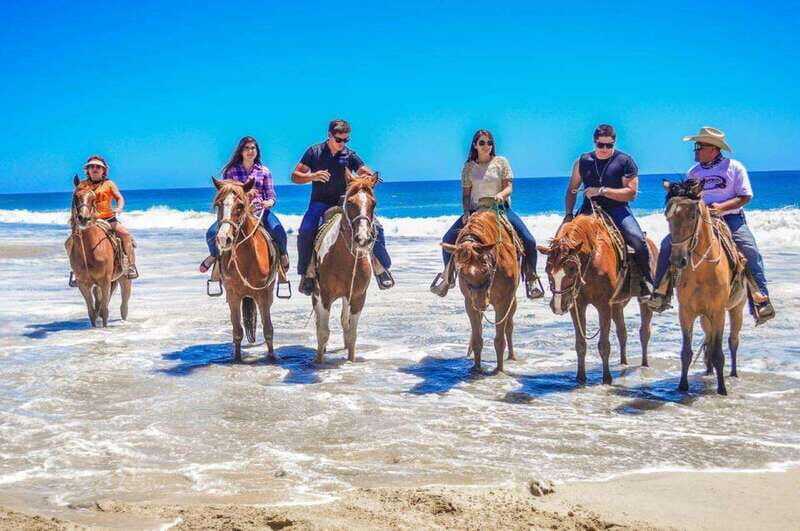 Cabo San Lucas: Scenic Horseback Ride Along the Corridor - Final Thoughts