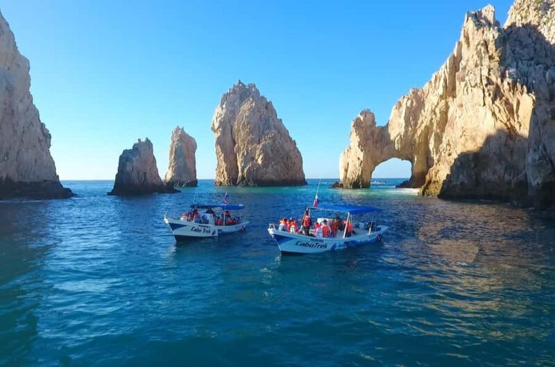 Cabo San Lucas: Scuba Diving in Cabo San Lucas Marine Park - A Deep Dive into the Experience
