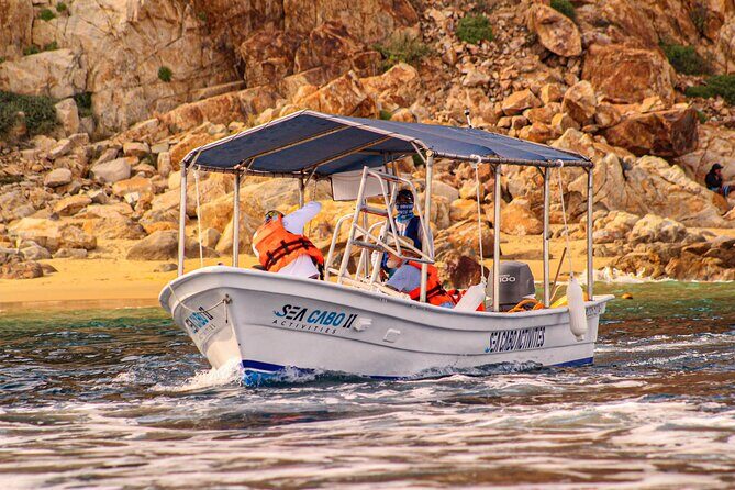 Cabo San Lucas Shared Glass Bottom Boat Experience - Exploring the Cabo San Lucas Glass Bottom Boat Tour in Detail