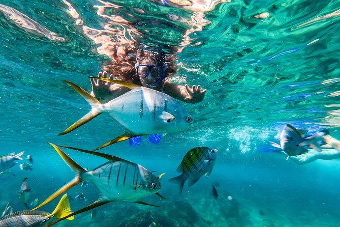 Cabo San Lucas Shopping, Tequila Tasting, and Snorkel Tour - Key Points