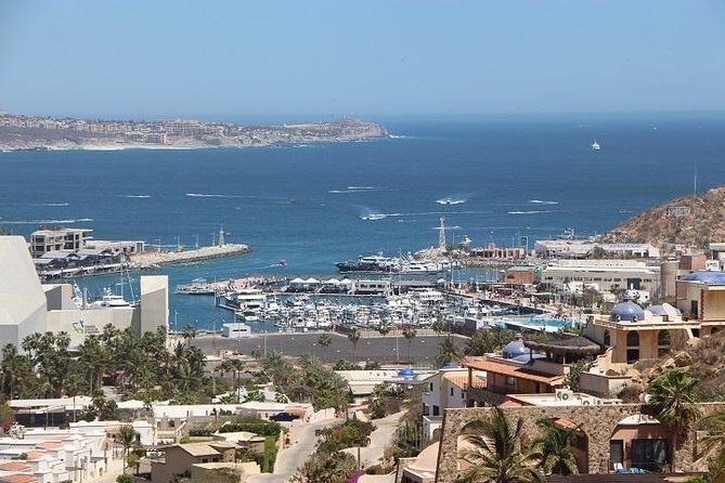 Cabo San Lucas sightseeing and Famous Arch tour - Cabo San Lucas sightseeing and Famous Arch tour — a detailed review