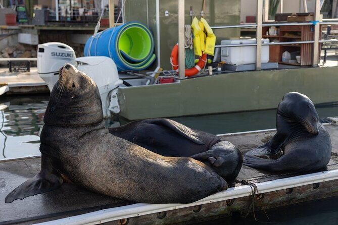 Cabo San Lucas Snorkel Adventure with Photos Included - A Closer Look at the Cabo San Lucas Snorkel Adventure