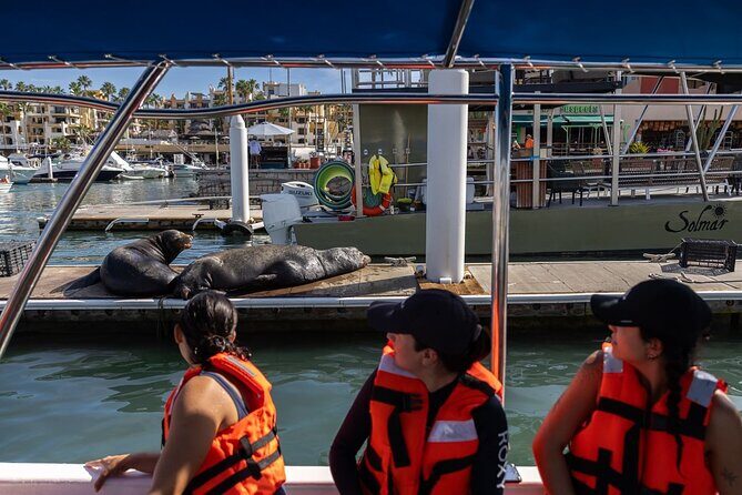 Cabo San Lucas Snorkel Adventure with Photos Included - Final Thoughts