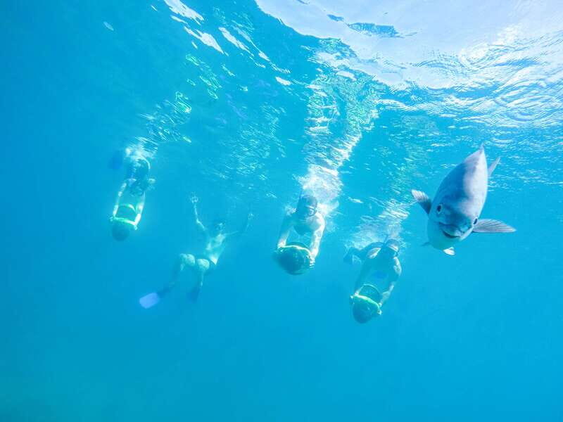 Cabo San Lucas: Snorkel, Paddle-board, and/or Kayak Tour - Final Thoughts: Why This Tour Stands Out