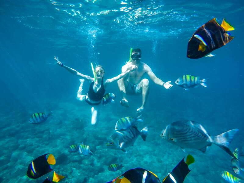 Cabo San Lucas: Snorkel Tour with Open Bar & Snacks - In-Depth Review of the Cabo Snorkel Tour Experience