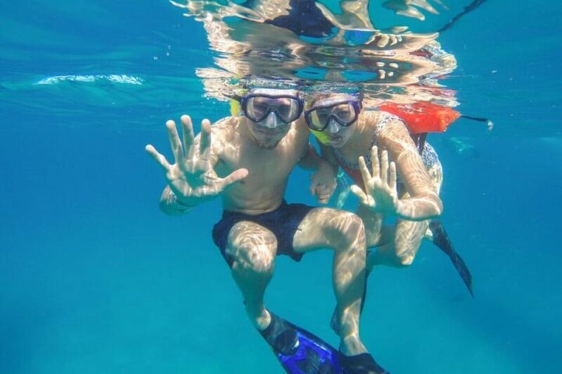 Cabo San Lucas: Snorkeling and Sailing Cruise with Lunch - Key Points