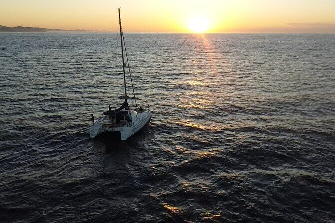 Cabo San Lucas Sunset Catamaran Cruise with Open Bar - Key Points