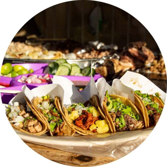 Cabo San Lucas: Taco Safari Tour - Key Points