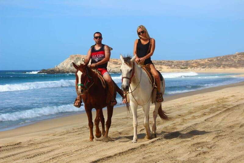 Cabo San Lucas: Thrilling ATV and Horseback Riding Combo - A Detailed Look at the Cabo ATV and Horseback Riding Tour