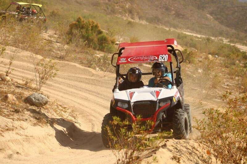 Cabo San Lucas: UTV Razor Tour of Migriño Desert and Beach - Who Should Consider This Tour?