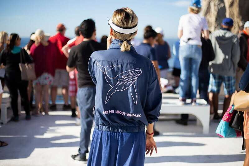 Cabo San Lucas: Whale Watching Breakfast Cruise - The Sum Up