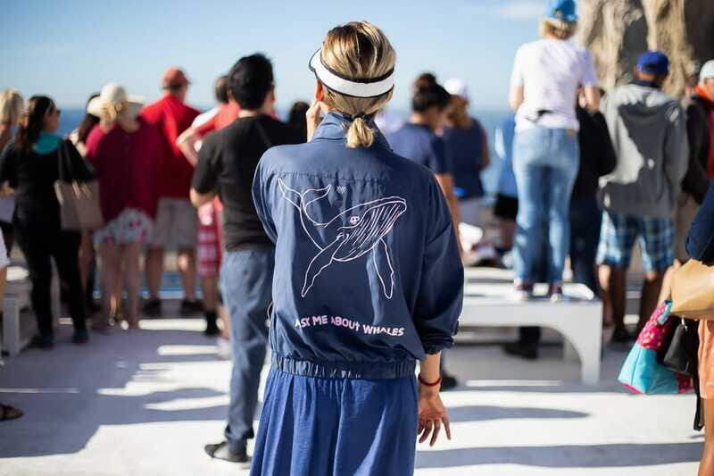 Cabo San Lucas: Whale Watching Breakfast Cruise - FAQ