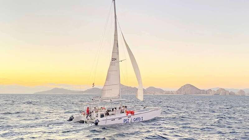 Cabo San Lucas: Whale Watching Experience on Catamaran - FAQs