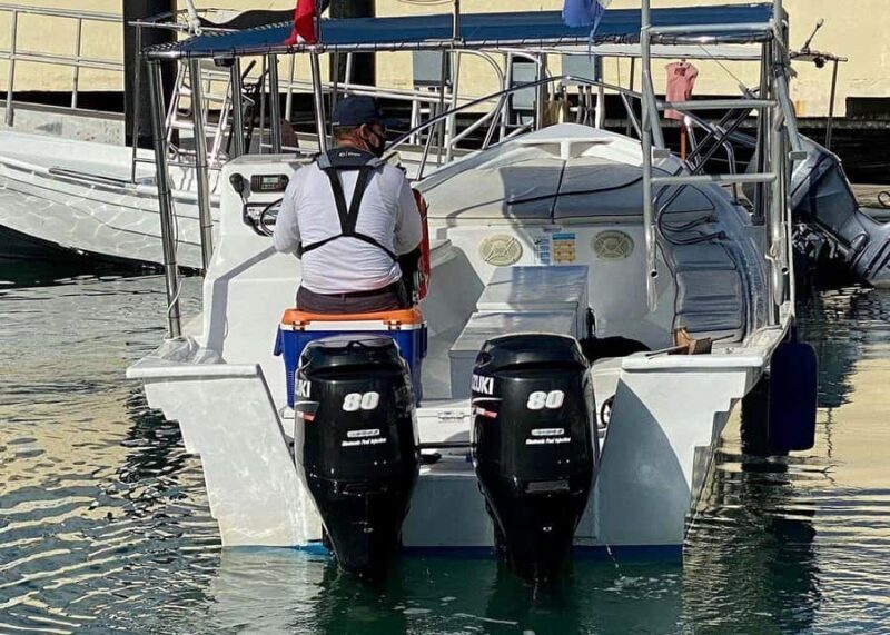 Cabo San Lucas: Whale Watching/Hearing Tour with Hydrophones - Experience the Marine Majesty of Cabo San Lucas: Whale Watching and Hearing Tour with Hydrophones