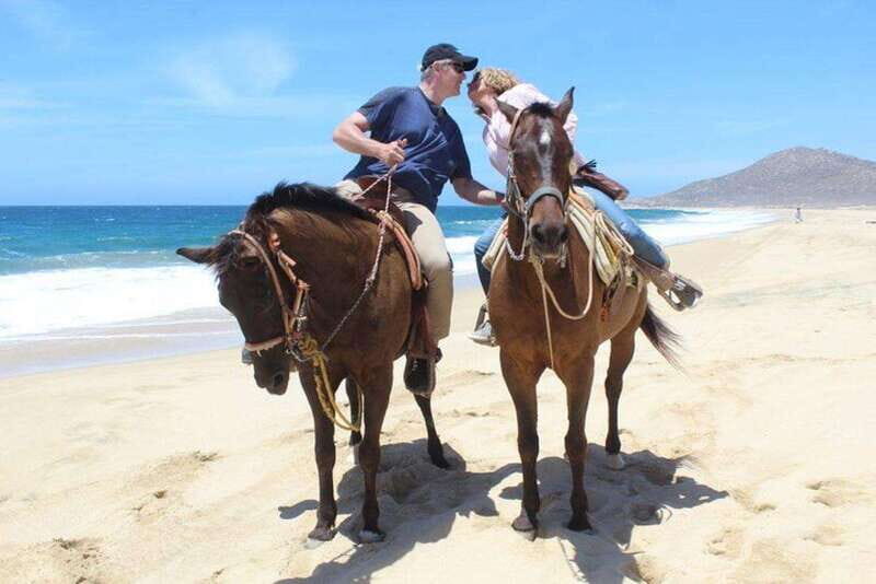 Cabo San Lucas: White Sand Horseback Adventure - Exploring the Details of the White Sand Horseback Adventure