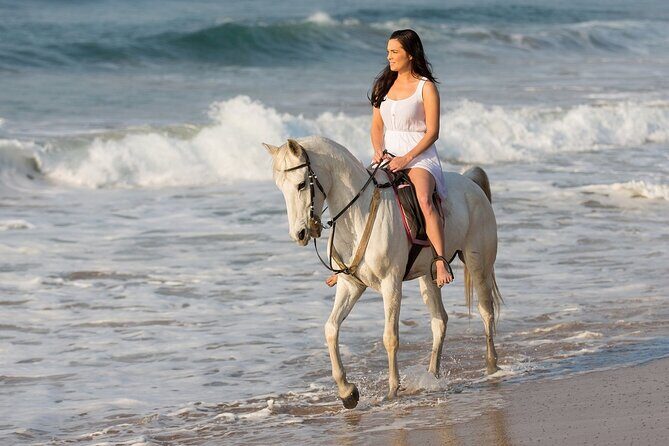 Cabo Shore Excursion: Beach Horseback Ride & Tequila Tasting - The Tequila Tasting Experience