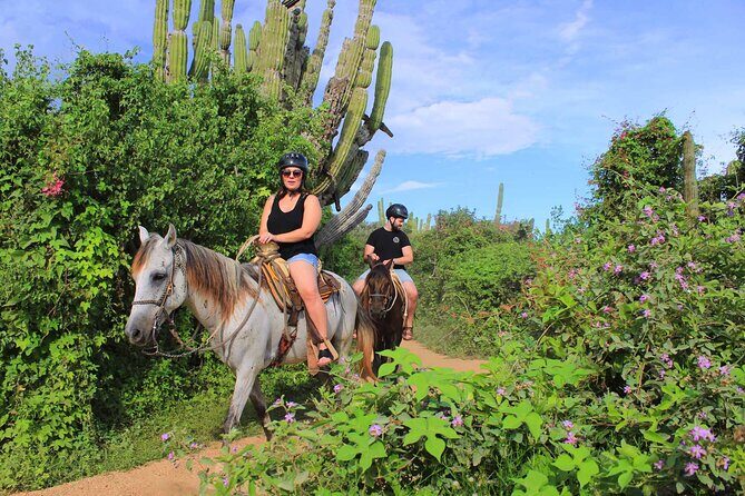 Cabo Shore Excursion: Beach Horseback Ride & Tequila Tasting - Practical Details and Considerations