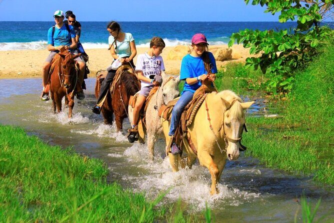 Cabo Shore Excursion: Beach Horseback Ride & Tequila Tasting - FAQ