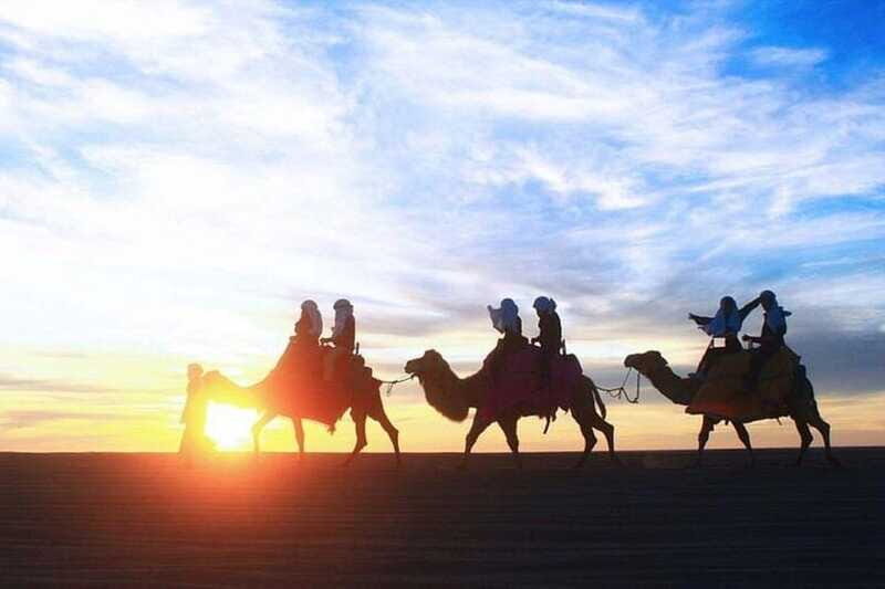 Cabo: Sunset Camel Ride and ATV Combo Adventure - Final Thoughts