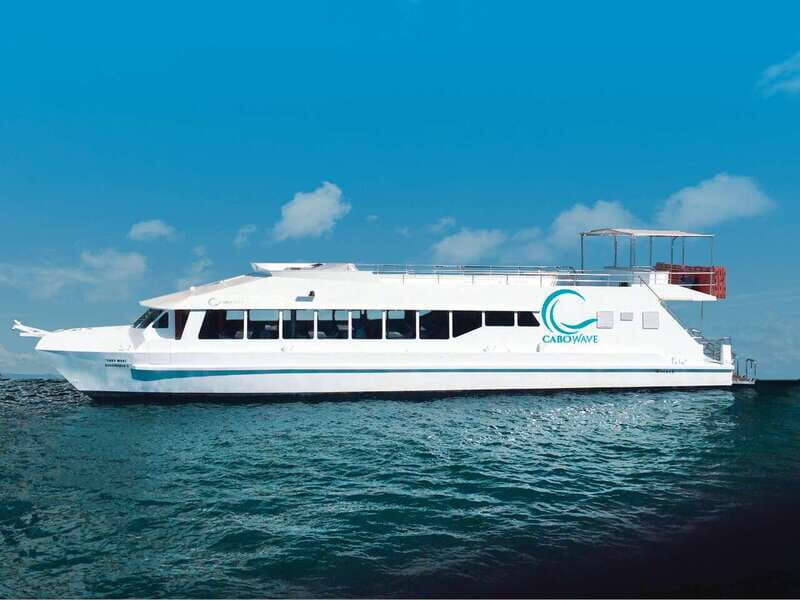 Cabo: Sunset Cruise with Dinner, Music & Open Bar - Practical Tips for Booking and Enjoyment
