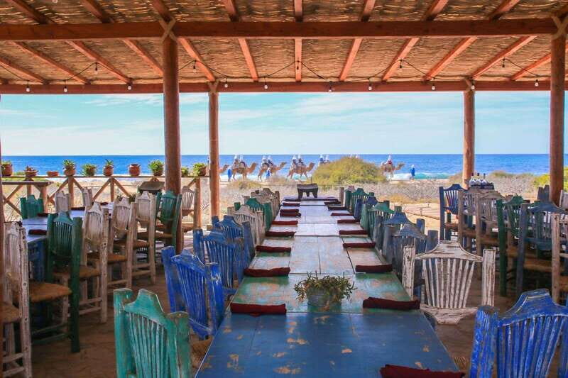 Cabo: Todo Santos Tour with Camel Ranch, Tequila and Lunch - Exploring Todos Santos: More Than Just a Photo Opportunity