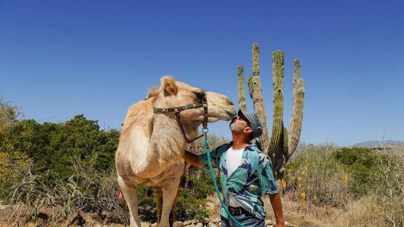 Cabo: Todo Santos Tour with Camel Ranch, Tequila and Lunch - Summary: Why Choose This Tour