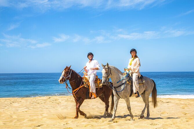 Cabo Tour Mexico Camel and Horseback Ride with ATV Adventure - A Deep Dive into the Experience