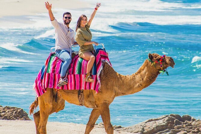 Cabo Tour Mexico Camel and Horseback Ride with ATV Adventure - FAQ