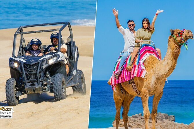 Cabo UTV and Camel Ride Combo - Discover the Baja: Cabo UTV and Camel Ride Combo