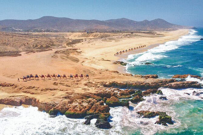 Cabo UTV and Camel Ride Combo - Final Thoughts: Who Will Love This Tour?
