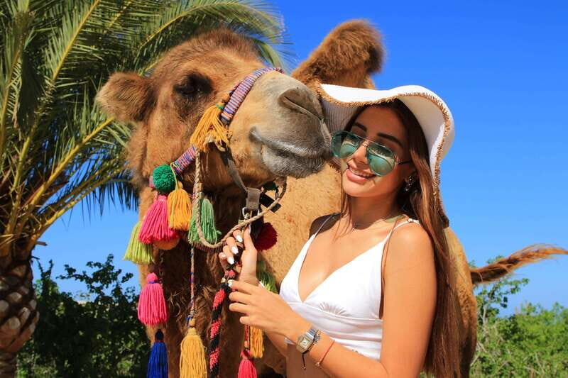Cabo : UTV and Camel Ride in the Desert - The Logistics and Practical Details