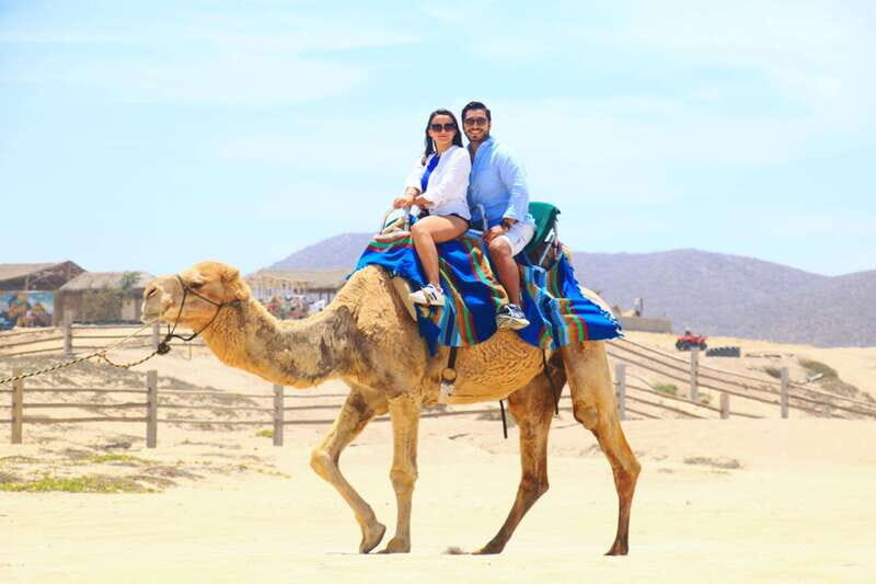 Cabo : UTV and Camel Ride in the Desert - The Sum Up: Is This Tour Right for You?