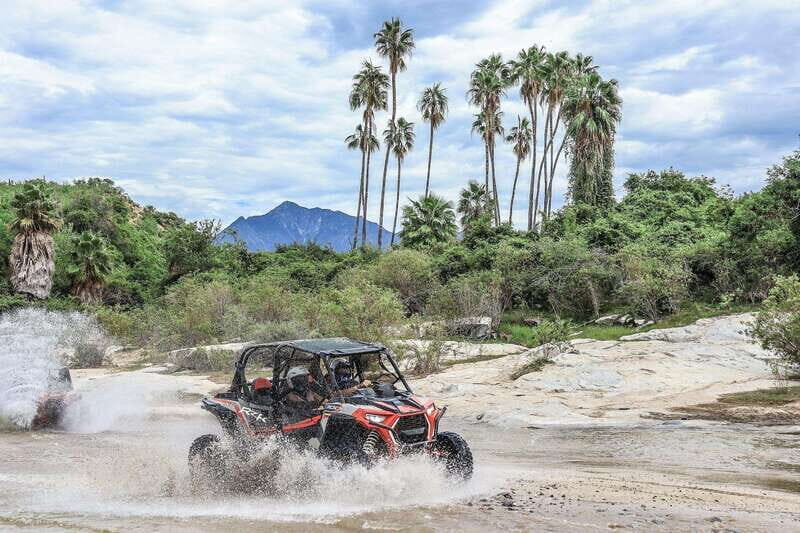 Cabo: UTV Off-Roading, Mexican Lunch, and Tequila - Experience Baja with an Off-Road UTV Adventure, Mexican Lunch, and Tequila Tasting