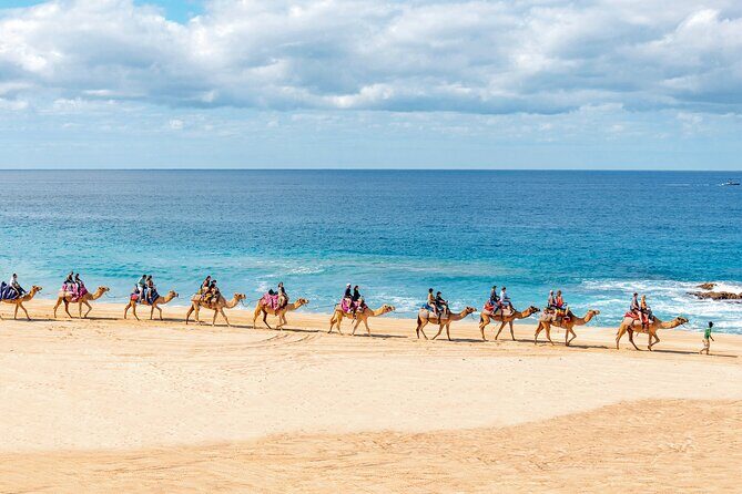 Cabo UTV Tour Free Camel Sky Bike - An In-Depth Look at the Cabo UTV, Camel, and Sky Bike Combo