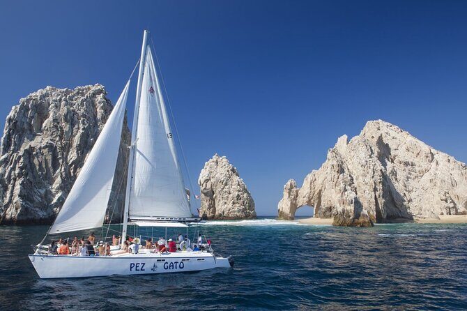 Cabo Whale Watching Cruise - A Detailed Look at the Cabo Whale Watching Experience