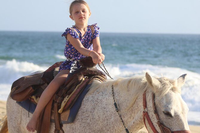 Cabo White Sand Horseback Riding Tour and Tequila Tasting - A Deep Dive into the Cabo White Sand Horseback Riding Tour