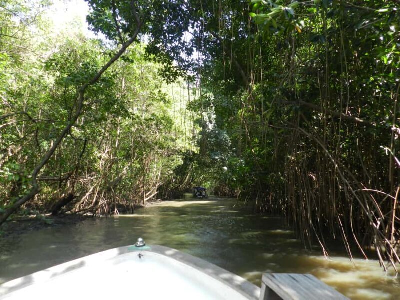 Caburé - Boat tour on the Rio Preguiças - Detailed Review of the Caburé Boat Tour